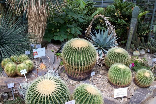 Botanische Gärten der Universität Bonn Aktivitäten für Kinder